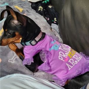 🐶 Lulu Pink “Princess Has Arrived” Tee (Girl) XS